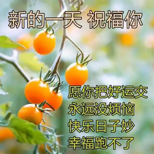 微信群发早晨好图片带字祝福语