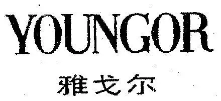 em>雅戈尔 /em>; em>young /em>or