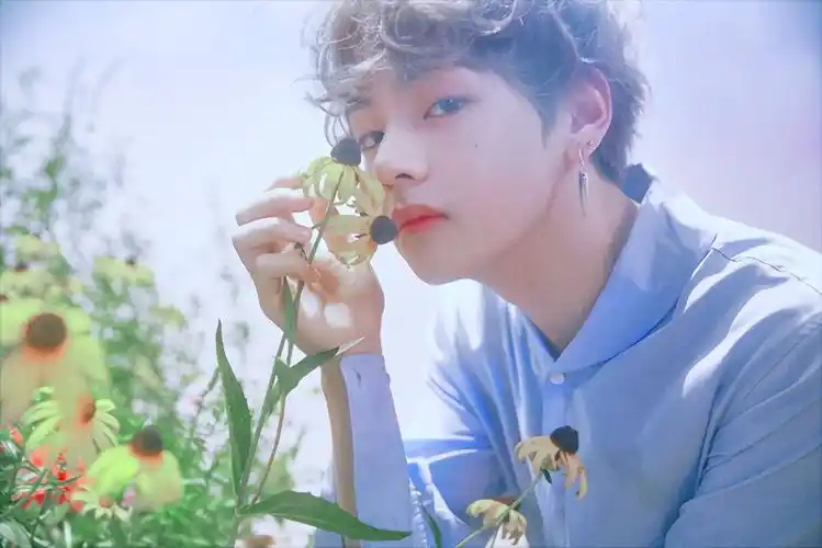 金泰亨 - 堆糖,美图壁纸兴趣社区