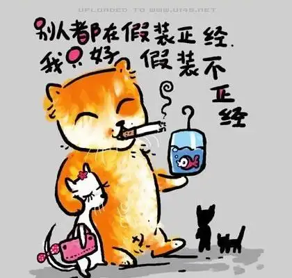 小猫咪的哲理人生(二) [浏览次数:]