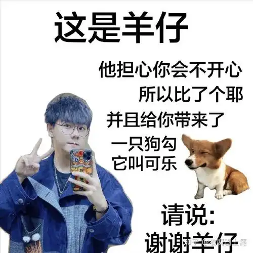 今天来和大家唠唠我为什么喜欢cv羊仔