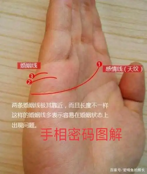 离婚命,手相"密码"里早有预示