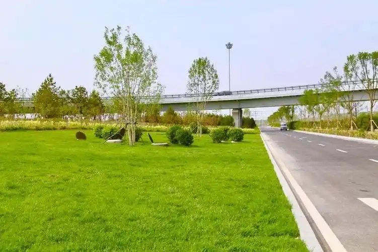 滨河东路南延旧貌换新颜绘出绿色廊道新景观