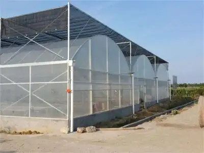 迅果搭建连栋大棚连体温室大棚成本低