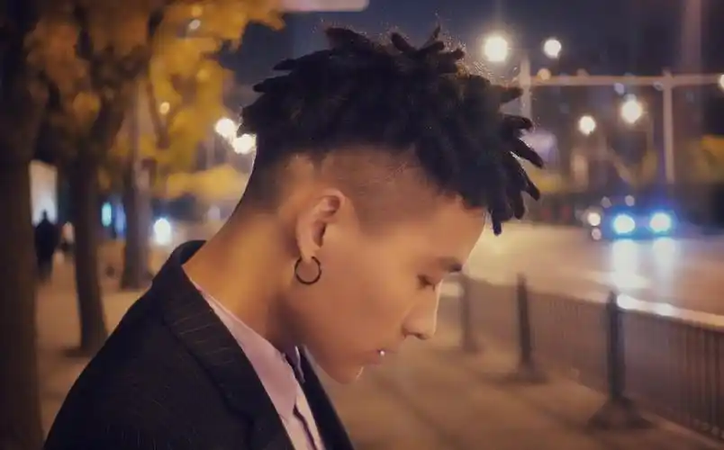 盆栽脏辫【男生短款】_斑马脏辫工作室-站酷zcool