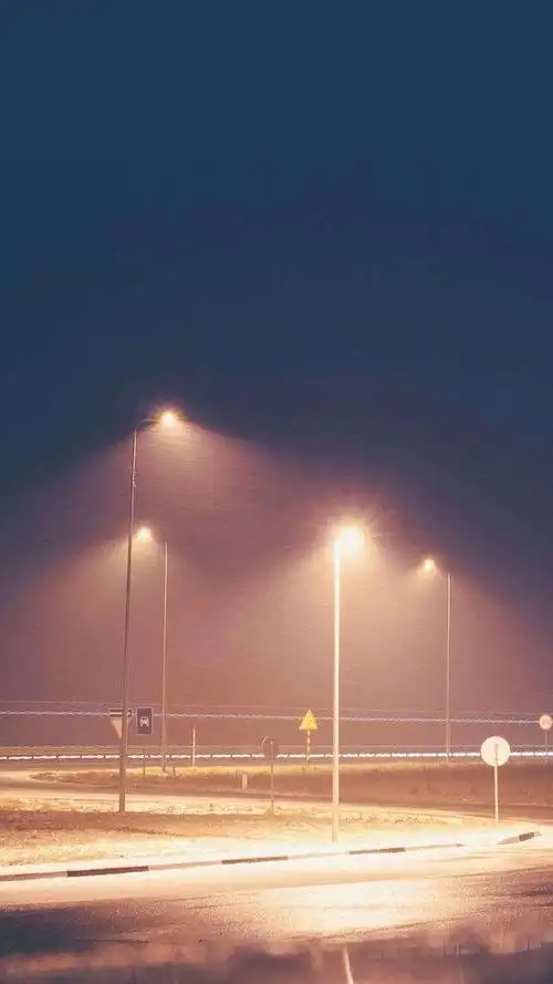 抖音很火的猫壁纸抖音网红星狗壁纸