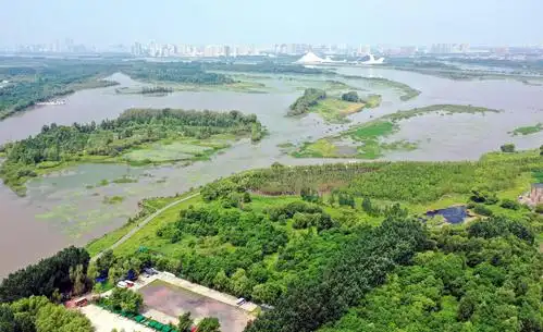 连续降雨松花江北侧湿地水丰景美秀丽迷人有空来看看吧