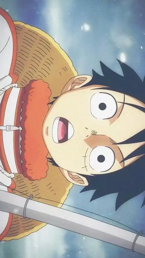 海贼王高清手机全屏壁纸,新年赶紧换上新壁纸啦!