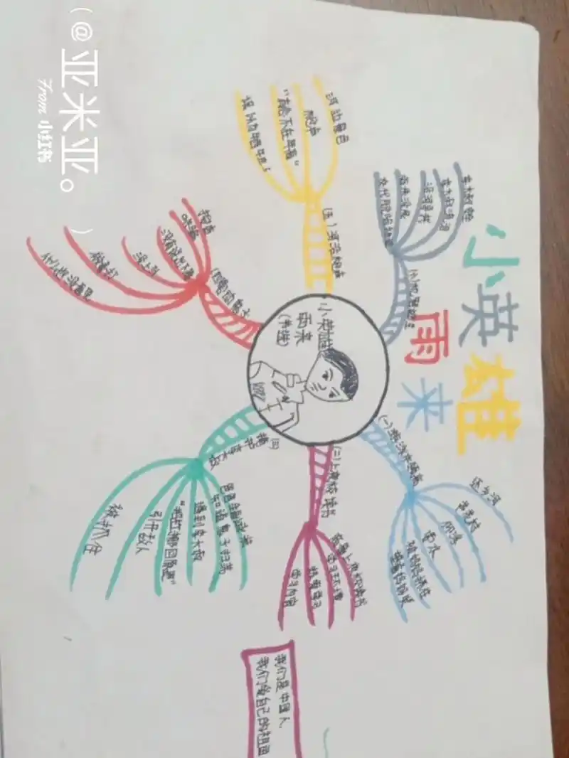 来啦来啦小英雄雨来 思维导图