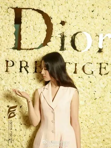 刘亦菲dior迪奥形象大使12