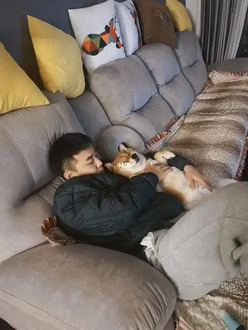 抱抱我的狗儿子