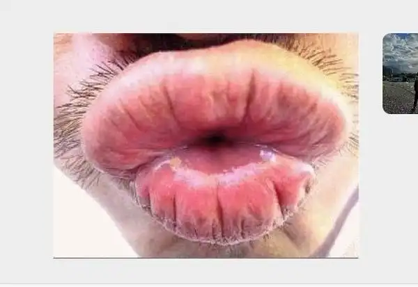 怎么有能把亲亲都亲得这么丑的表情包