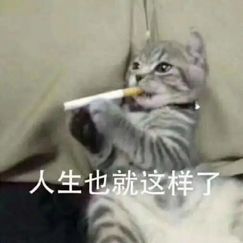 人生也就这样了(猫咪表情包)
