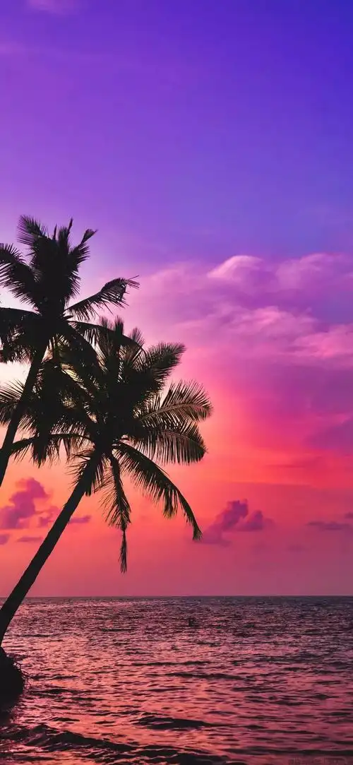 壁纸|高清个性全面屏壁纸推荐