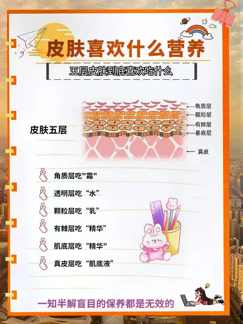 97皮肤分为表皮层 - 抖音