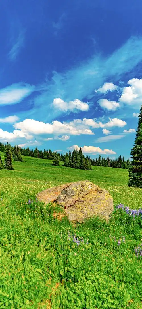 超高清大自然风景壁纸竖屏