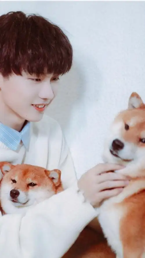 马嘉祺壁纸文案