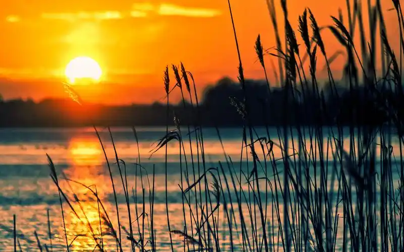 日落的美景,高清壁纸,风景图片-回车桌面