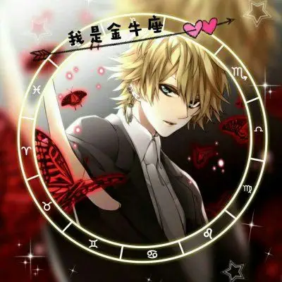 十二星座男生头像