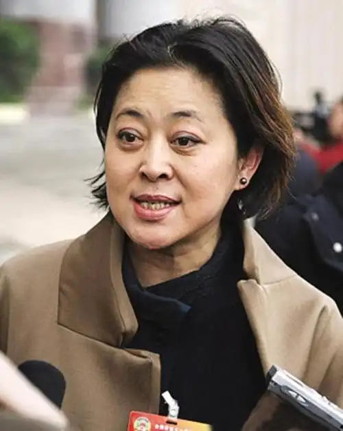 64岁倪萍现状:样貌大变,不嫁陈凯歌是此生最大的幸运