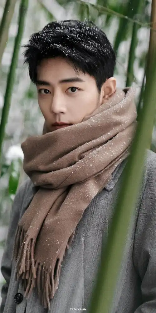 肖战冬至竹林大片##肖战盛阳