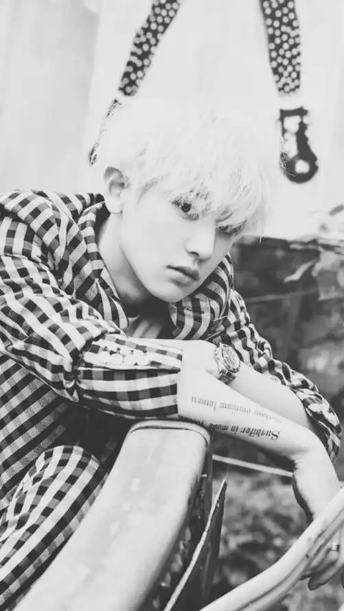 朴灿烈 黑白 壁纸