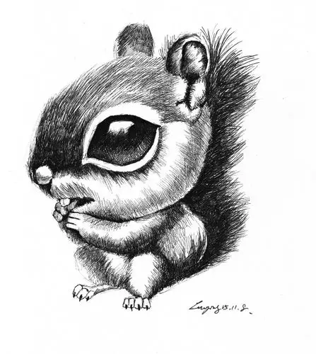 我的手绘动物集