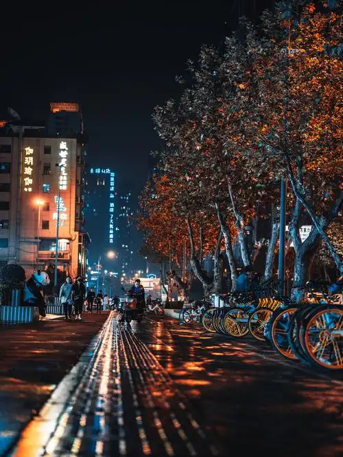 夜景雨后的街道