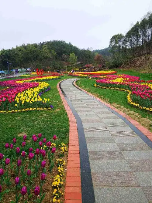 四季有花草有风景图片(花草的风景图)