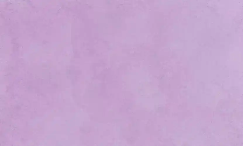 雪青青莲并不是青色,而是紫色,而且不是浅紫,也不是深紫,而是紫中偏蓝