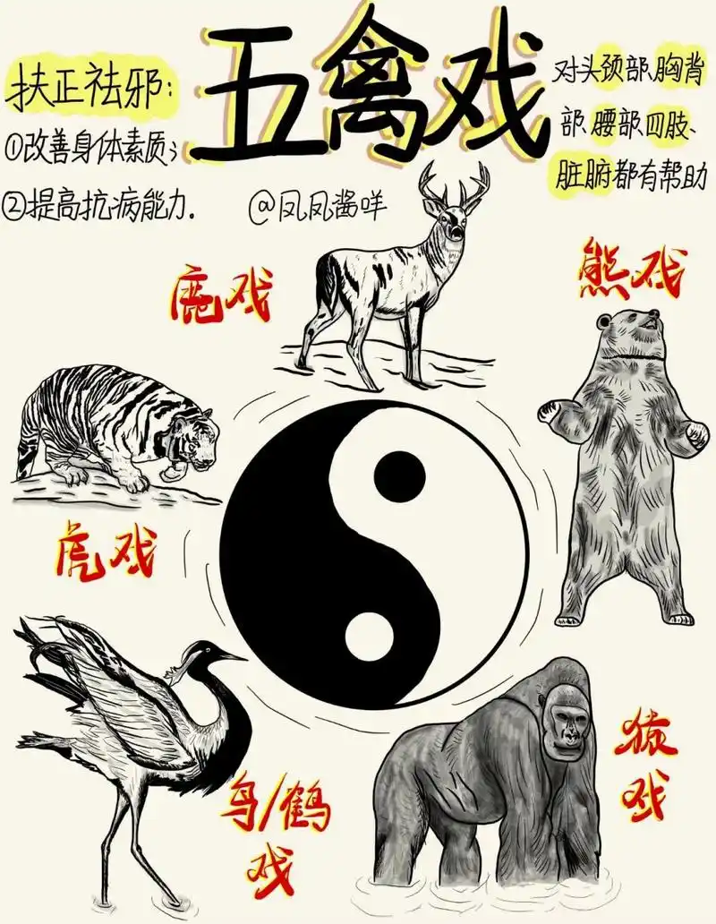 98 医学生笔记 | 五禽戏 建议点赞收藏 《后汉书·方术列传·华佗传