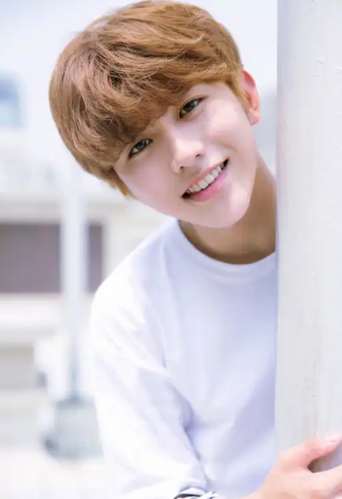 十二星座的专属男神同桌,狮子座是偶像练习生蔡徐坤,舞台的王者