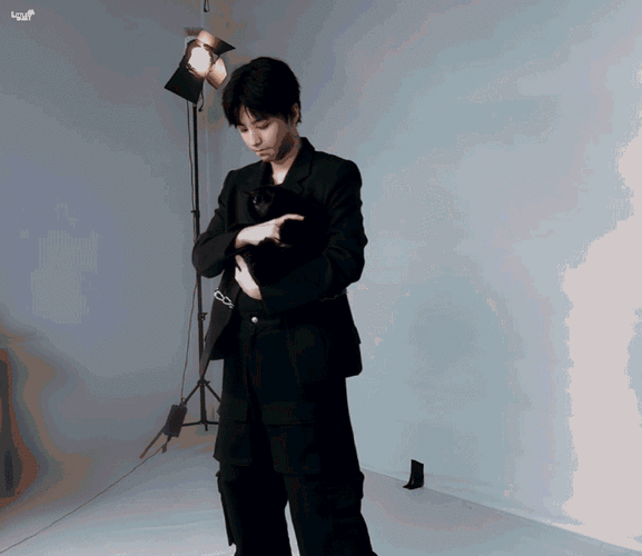 王俊凯超话|#王俊凯 盒子里的猫预告#  240413 工作室花絮    想把你