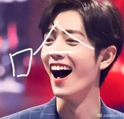 肖战蓝湛表情包