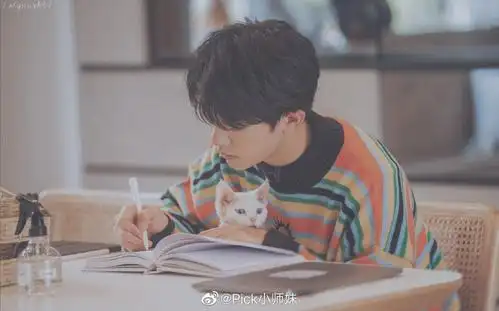 易烊千玺抱猫都只抱瘦的要被两只猫笑死