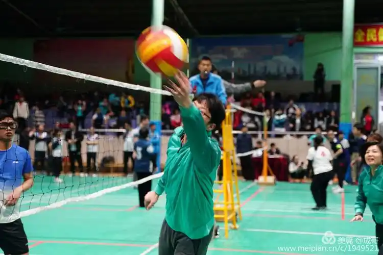 分公司"母亲杯"气排球比赛记实