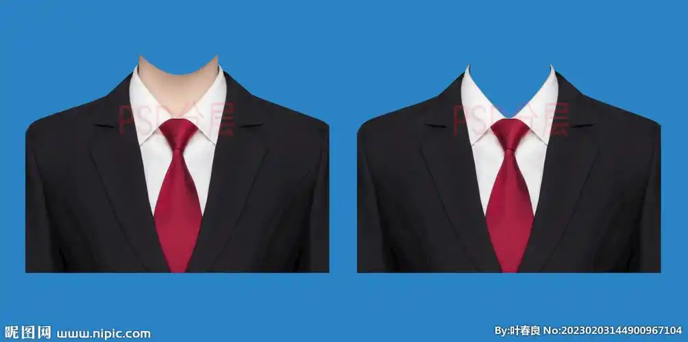 女红领带西装衣服素材psd设计图__psd分层素材_psd分层素材_设计图库