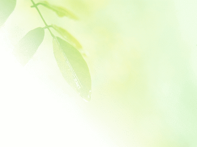 淡雅好看的绿色ppt背景