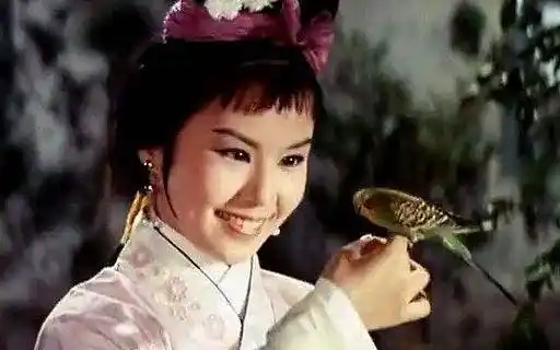 张慧娴1987 安徽拍摄的黄梅戏电视剧《狐女婴宁》中,由吴亚玲扮演婴宁
