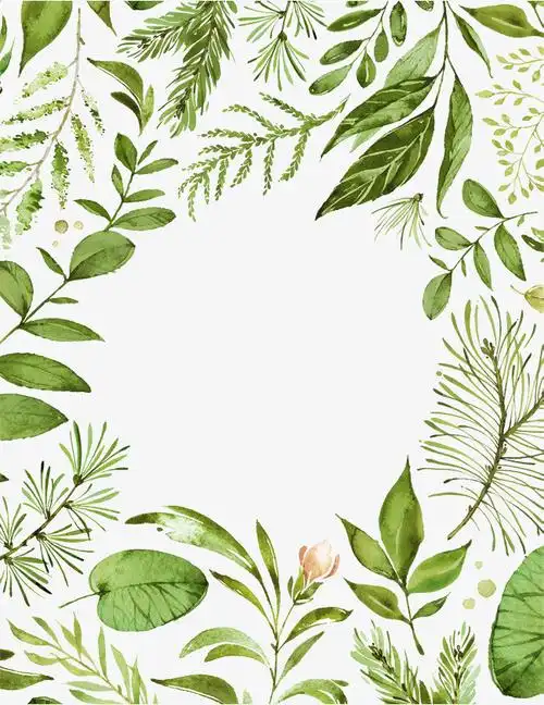 外边框时尚简约的植物边框