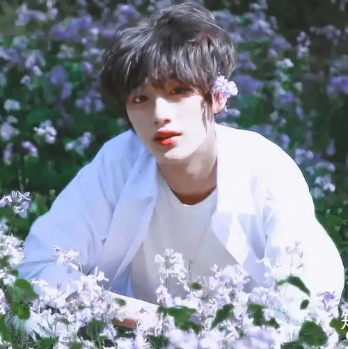 【头像】丁程鑫