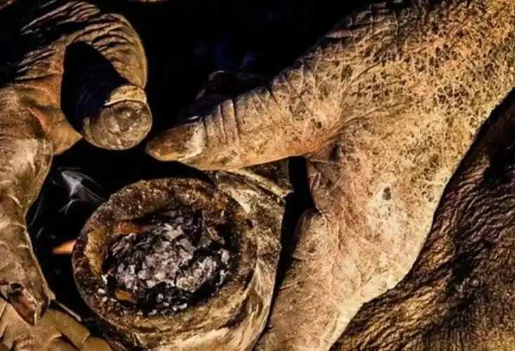 94岁"全球最脏的人"!67年来第一次洗澡,结果洗完去世,原因让人震惊...