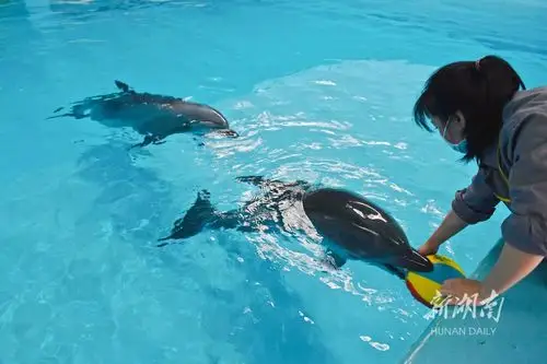 海豚宝宝迎1周岁