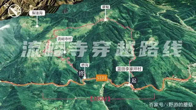 看牛羊成群的高山草甸 蓝田流峪寺穿越