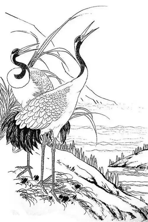 一组白描仙鹤,惟妙惟肖︱艺术名画