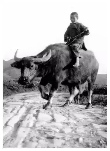 30年代珍贵老照片:图3让人愤怒,图5让人佩服,图8十分心酸__财经头条