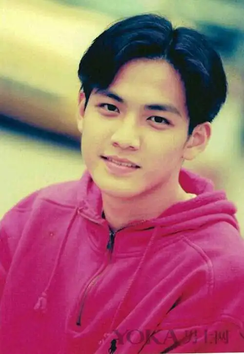 是当时那个年代爆火的发型,有许多当红港星都留这种酷酷的发型