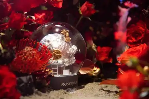 玫瑰爱礼脱单在即roseonly