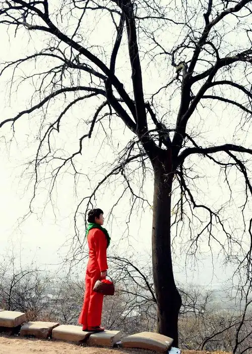 圪梁梁上的女人