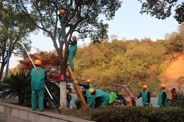 园林工人各显神通,技能比武一决高下——芦淞园林绿化中心举办第二届